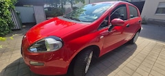 Bild des Angebotes Fiat Punto