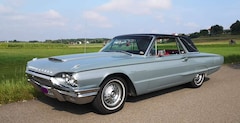 Ford Thunderbird Flair Bird