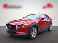 Bild des Angebotes Mazda CX-30 Selection 2WD Rückfahrkamera ACC