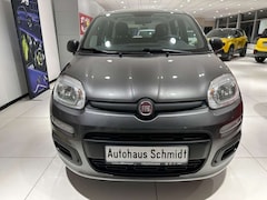 Bild des Angebotes Fiat Panda Easy