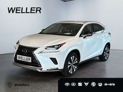 Bild des Angebotes Lexus NX 300h Style Edition *Bi-LED*ACC*CAM*SHZ*CarPlay*