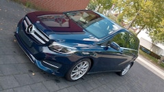 Bild des Angebotes Mercedes-Benz B 250 Autom Leder Navi Rückf el Sitz Scheckheft