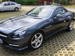Bild des Angebotes Mercedes-Benz SLK 200 SLK 200 BlueEfficiency (172.448)