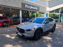 Bild des Angebotes Mazda CX-30 2.5L e-SKYACTIV G 140ps 6AT FWD Homura