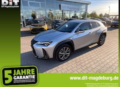Bild des Angebotes Lexus UX 250h UX 250 h F Sport Design ACC+LED+SHZ+2xKlima+Kam.