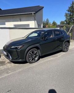 Bild des Angebotes Lexus UX 250h 250 h Luxury Line