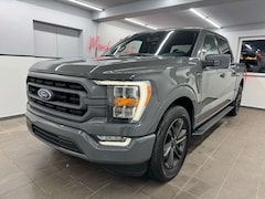 Bild des Angebotes Ford F 150 5.0 V8 XLT Supercrew/LKW/AHK-3,5/LED-Tacho