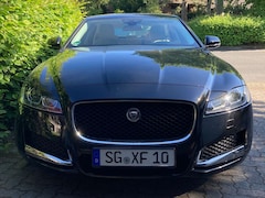 Bild des Angebotes Jaguar XF XF 20d AWD Aut. Pure