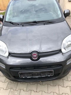 Bild des Angebotes Fiat Panda 1.2 Pop