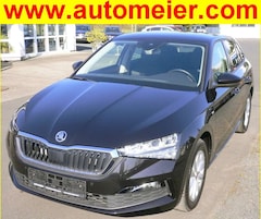 Skoda Scala 1.5 TSI Tour Navi LED SHZ RFK