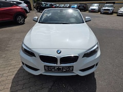 BMW 218 2 Cabrio 218 i Advantage