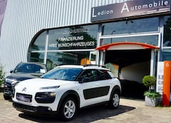 Bild des Angebotes Citroen C4 Cactus Shine Color-Paket