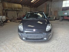 Bild des Angebotes Fiat Punto Evo 3p 1.4 Active 77cv