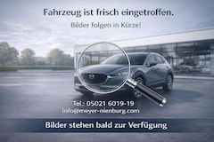 Bild des Angebotes Ford Ranger Wolftrak Doppelkabine 4x4 AHK(DAB