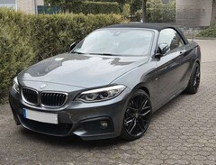 Bild des Angebotes BMW 230 i Cabrio Aut. M-Sport, H&K Surround, NaviProf