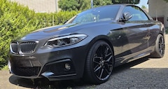 Bild des Angebotes BMW 230 i Cabrio Aut. M-Sport, H&K Surround, NaviProf
