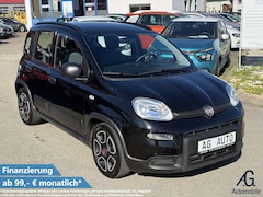 Bild des Angebotes Fiat Panda City Life +Garantie Mild-Hybrid Service NEU