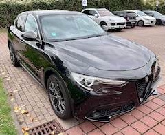 Bild des Angebotes Alfa Romeo Stelvio Stelvio 2.2 Diesel 16V 190PS AT8 Lusso
