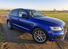 Bild des Angebotes Audi SQ5 3.0 TDI plus quattro