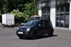 Bild des Angebotes Fiat Panda 0.9 TwinAir, Cross 4x4 *SENSOREN HINTEN*