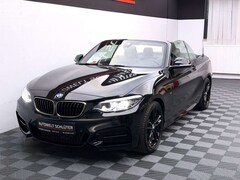 Bild des Angebotes BMW 240 xDrive Cabrio *H/K*Carbon*DAB*RFK*SHZ*