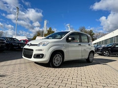 Bild des Angebotes Fiat New Panda 1.2 8V Easy *Sitzheizung Klima DAB+ NS