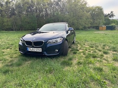 BMW 218 218 i Advantage