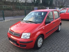 Bild des Angebotes Fiat Panda 1.2 Dynamic Klima, Servo, Zentral, ABS. E. Fenster