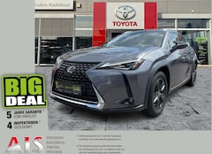 Bild des Angebotes Lexus UX 250h Launch Edition AHK*Navi*KAM*DAB*SHZ
