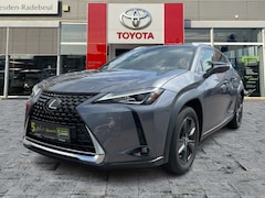 Bild des Angebotes Lexus UX 250h Launch Edition Navi*KAM*DAB*SHZ