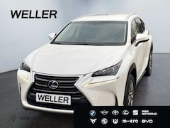 Bild des Angebotes Lexus NX 300h Business Edition *LED*RCam*SHZ*Navi*PDC*