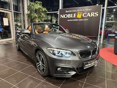 Bild des Angebotes BMW 230 i  Cabrio M Sport H&K LED NAV-PROF AHK 18"