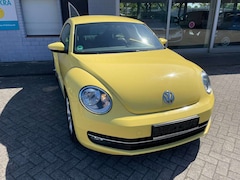 Bild des Angebotes VW Beetle Design