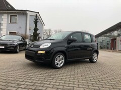 Bild des Angebotes Fiat New Panda 1.0 Hybrid *5 Sitzer Klima Komfort*