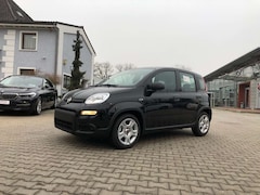 Bild des Angebotes Fiat New Panda 1.0 Hybrid *5 Sitzer Klima Komfort*