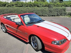 Ford Mustang Ford Mustang Cabrio sucht neuen Liebhaber