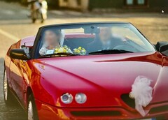 Bild des Angebotes Alfa Romeo Spider Spider+2.0+16V+Twin+Spark+L