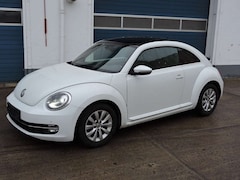 Bild des Angebotes VW Beetle Design