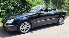 Bild des Angebotes Mercedes-Benz CLK 350 CLK Cabrio 350 7G-TRONIC Avantgarde