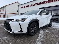 Bild des Angebotes Lexus UX 250h EXECUTIVE/ACC/LED/NAVI/DAB/SITZH/KAMERA