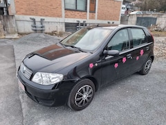 Bild des Angebotes Fiat Punto 1.2 Klima Zv el.Fh Eu4