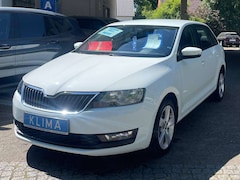 Skoda Rapid/Spaceback Cool Edition Inspektion ink. TÜV Neu