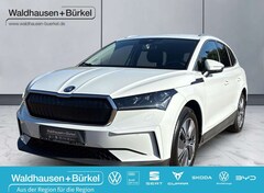 Bild des Angebotes Skoda Enyaq iV 60 Suite Klima Leder Einparkhilfe Kurvenlicht