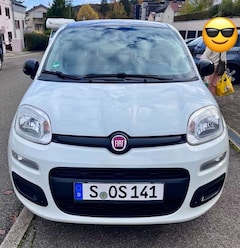 Bild des Angebotes Fiat New Panda Sondermodell Young
