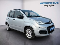 Bild des Angebotes Fiat Panda Fiat Panda ** Esrt 15TKM-2.Hand-TÜV 10.2027**
