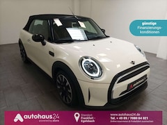 Bild des Angebotes MINI Cooper Cabrio Cabrio Cooper Radio|CAM|Lenkrhzg.|Leder