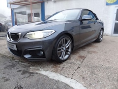 Bild des Angebotes BMW 230 i M Sport/Leder/Navi/Kamera/Automatik/