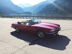 Bild des Angebotes Jaguar XJS V12 Liebhaber Auto, niedrig km, super gepflegt