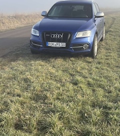 Bild des Angebotes Audi SQ5 SQ5 3.0 TDI quattro tiptronic competition