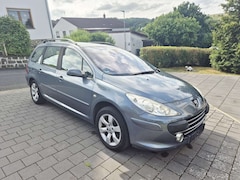 Bild des Angebotes Peugeot 307 Break 110 Grand Filou Cool